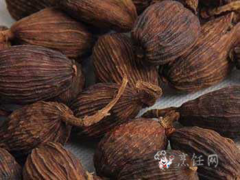 草果