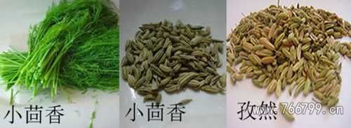 小茴香与孜然的区别