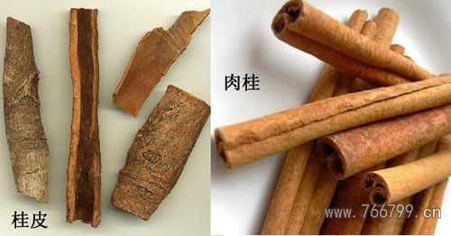 桂皮,肉桂