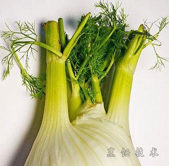茴香